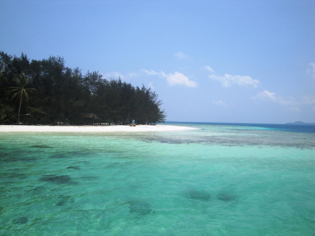 Menjangan Resort 卡里蒙贾瓦 客房 照片