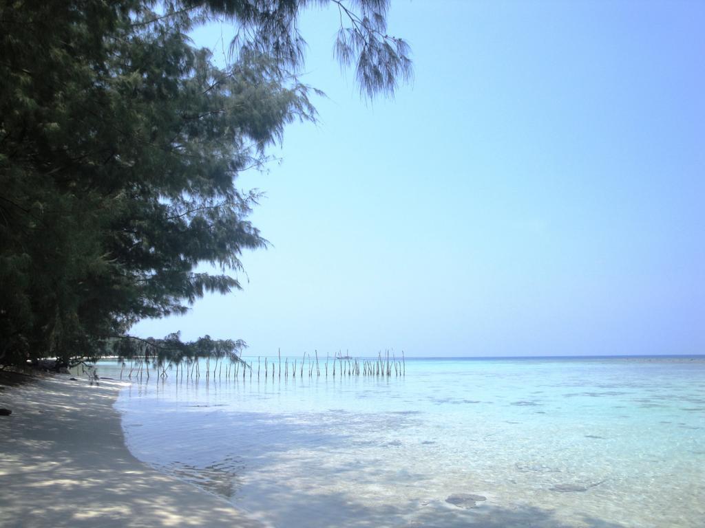 Menjangan Resort 卡里蒙贾瓦 客房 照片